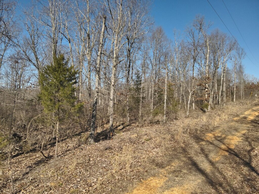 Property photo for land for sale in Perry County Tennessee