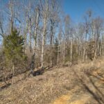 Property photo for land for sale in Perry County Tennessee