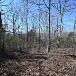 Property photo for land for sale in Perry County Tennessee