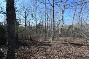 Property photo for land for sale in Perry County Tennessee