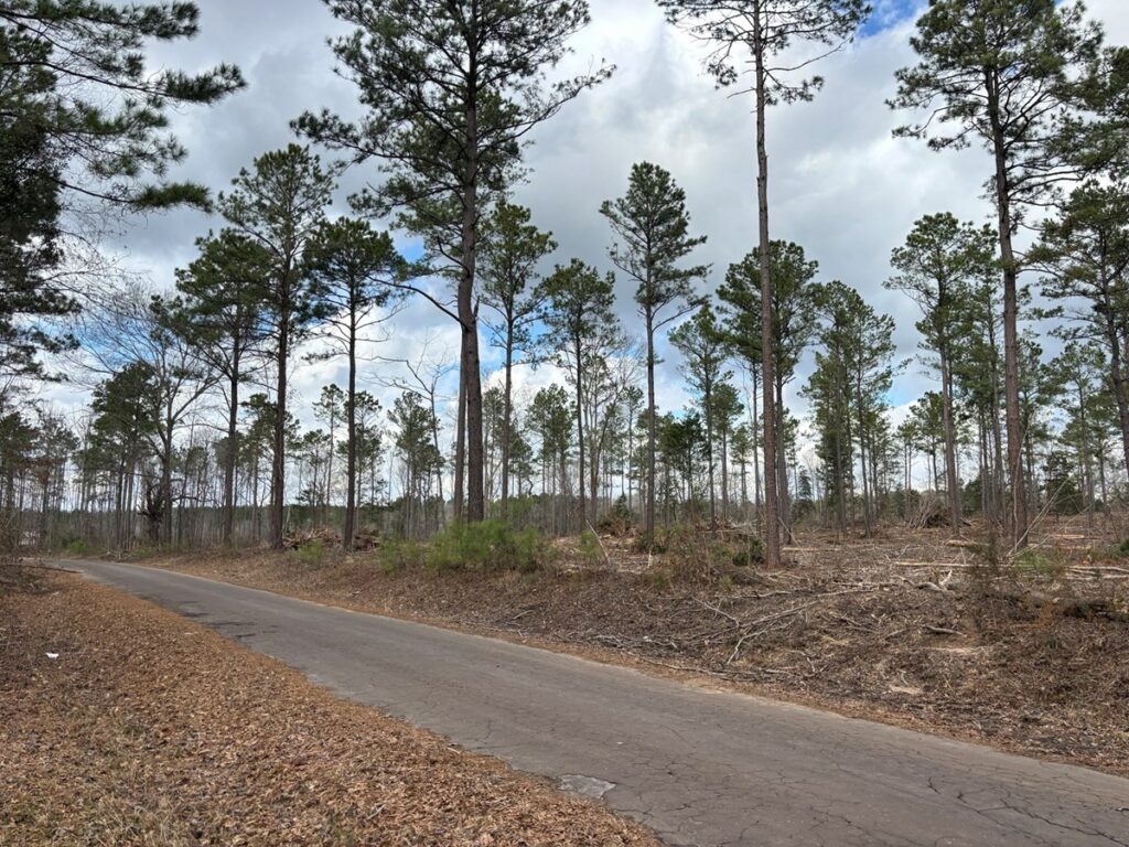 Property photo for land for sale in Cass County Texas