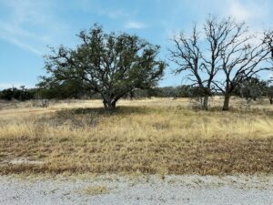 Property photo for land for sale in Brown County Texas