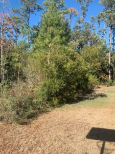 Property photo for land for sale in Beaufort County South Carolina