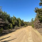 Property photo for land for sale in Union County Arkansas