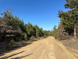 Property photo for land for sale in Union County Arkansas