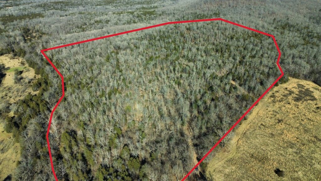 Property photo for land for sale in Sharp County Arkansas