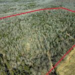 Property photo for land for sale in Sharp County Arkansas