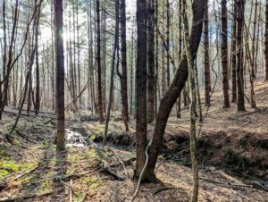 Property photo for land for sale in Floyd County Virginia