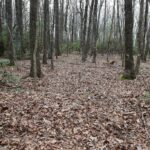 Property photo for land for sale in Floyd County Virginia