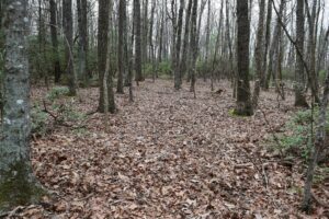 Property photo for land for sale in Floyd County Virginia