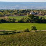 Property photo for land for sale in Montrose County Colorado