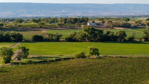 Property photo for land for sale in Montrose County Colorado