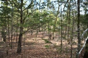 Property photo for land for sale in Le Flore County Oklahoma