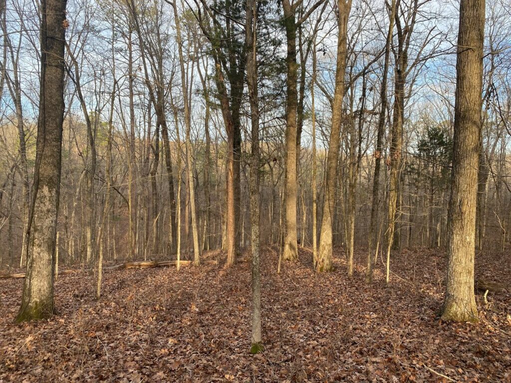 Property photo for land for sale in Hardin County Tennessee