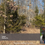 Property photo for land for sale in Oregon County Missouri