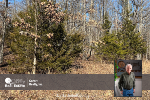 Property photo for land for sale in Oregon County Missouri