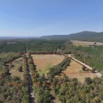 Property photo for land for sale in Scott County Arkansas