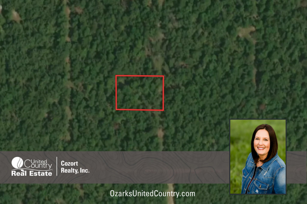 Property photo for land for sale in Izard County Arkansas