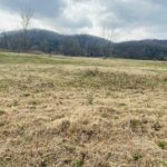 Property photo for land for sale in Izard County Arkansas