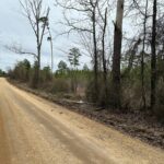 Property photo for land for sale in Grant County Arkansas