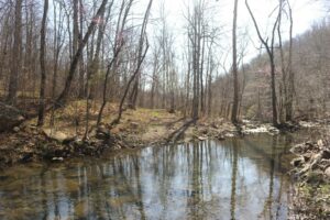 Property photo for land for sale in Stone County Arkansas