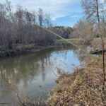 Property photo for land for sale in Pike County Mississippi