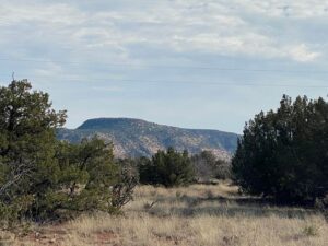 Property photo for land for sale in Guadalupe County New Mexico