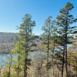 Property photo for land for sale in Izard County Arkansas