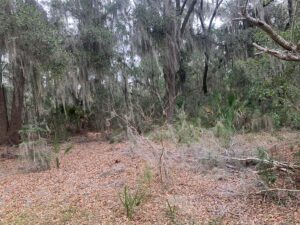 Property photo for land for sale in Beaufort County South Carolina