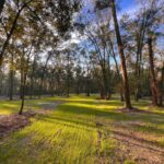 Property photo for land for sale in Gilchrist County Florida