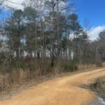 Property photo for land for sale in Copiah County Mississippi