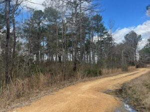 Property photo for land for sale in Copiah County Mississippi