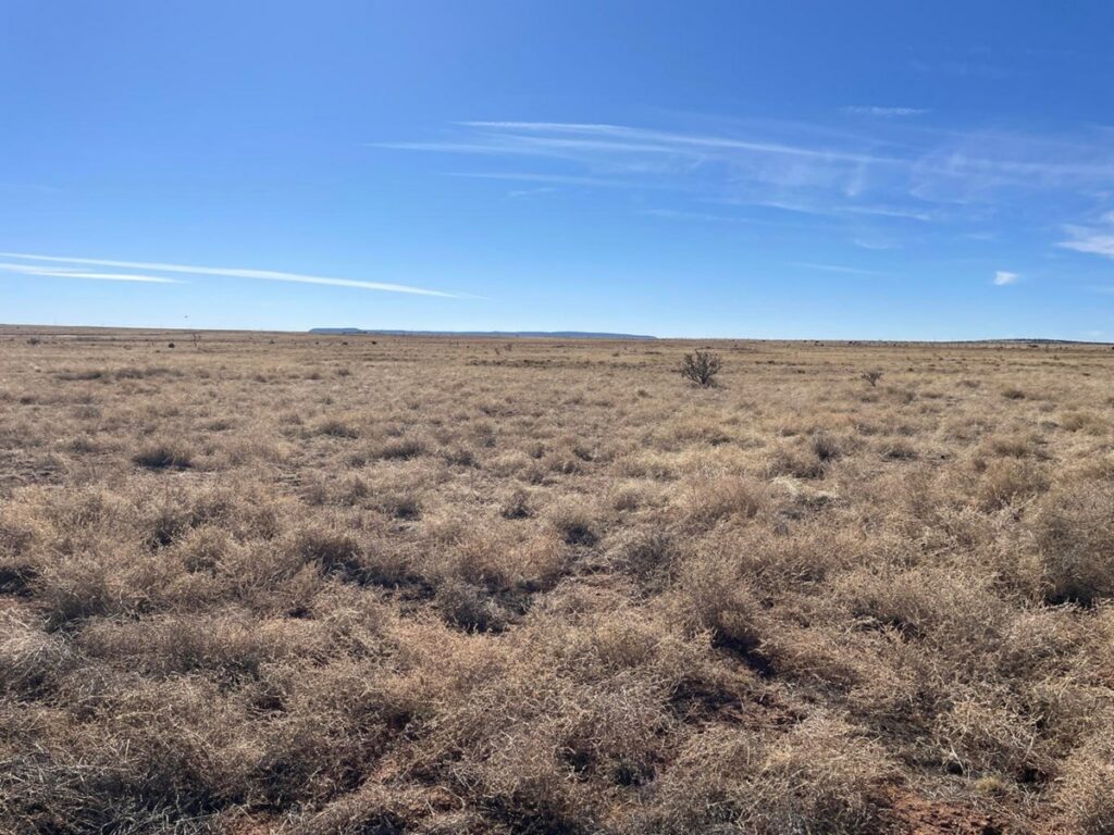 Property photo for land for sale in Torrance County New Mexico