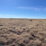 Property photo for land for sale in Torrance County New Mexico