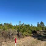 Property photo for land for sale in Union County Arkansas