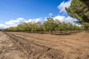 Property photo for land for sale in Dona Ana County New Mexico