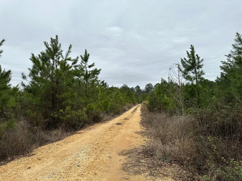 Property photo for land for sale in Grant County Arkansas