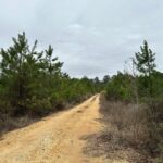 Property photo for land for sale in Grant County Arkansas