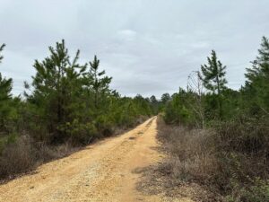 Property photo for land for sale in Grant County Arkansas