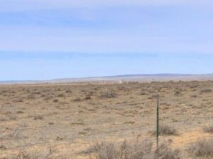 Property photo for land for sale in Torrance County New Mexico