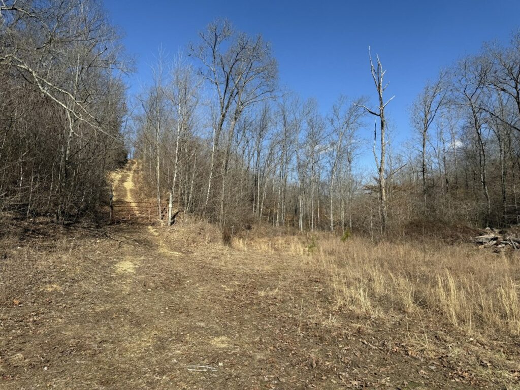 Property photo for land for sale in Wayne County Tennessee