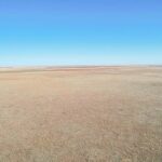 Property photo for land for sale in Bailey County Texas