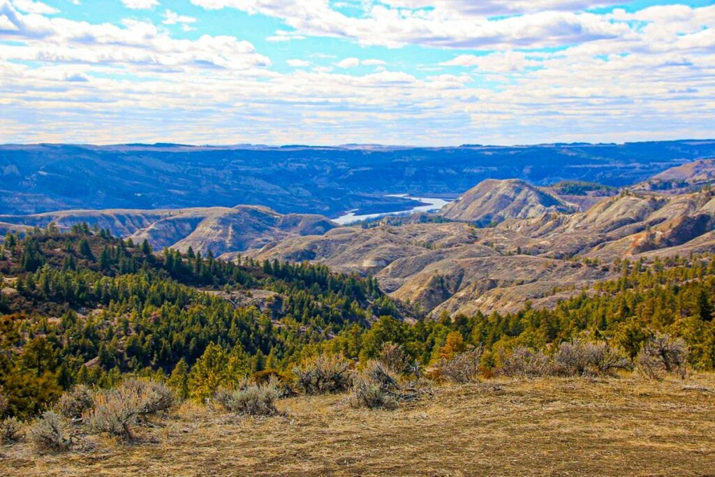 Property photo for land for sale in Phillips County Montana