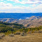 Property photo for land for sale in Phillips County Montana