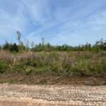 Property photo for land for sale in Crenshaw County Alabama