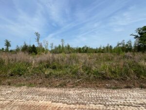 Property photo for land for sale in Crenshaw County Alabama