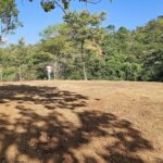 Property photo for land for sale in  County Panama