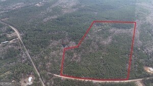 Property photo for land for sale in Elbert County Georgia