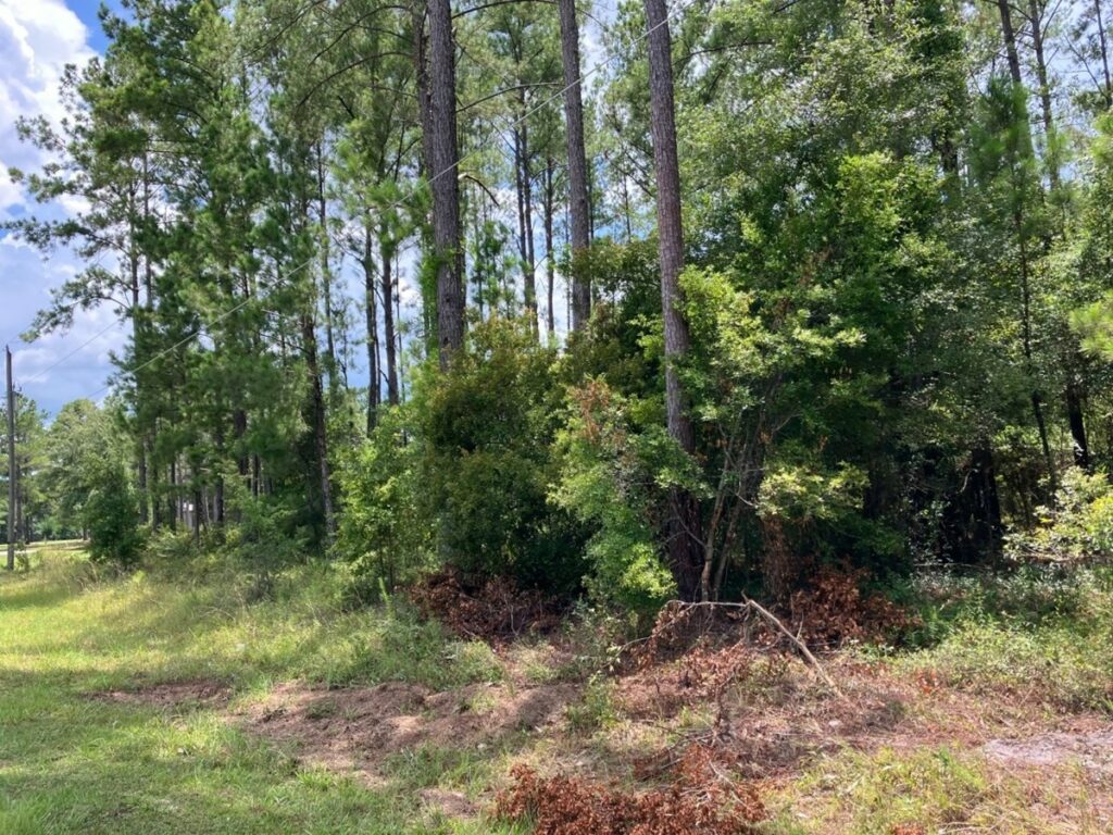 Property photo for land for sale in Columbia County Florida