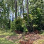 Property photo for land for sale in Columbia County Florida